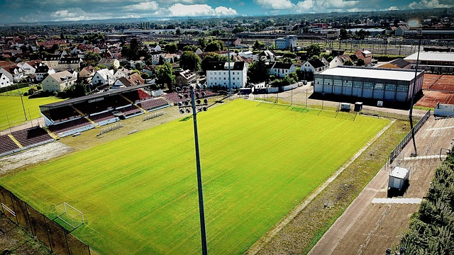 运动员和团 运动员和团