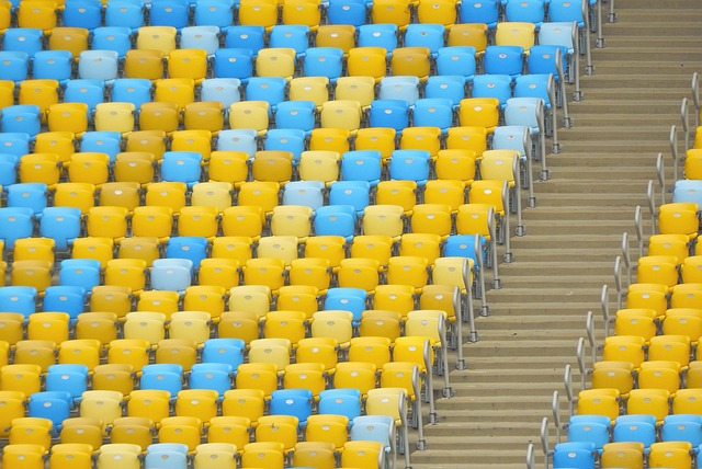 的成功举办 的成功举办