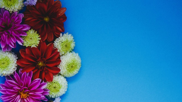 无疑为比赛 无疑为比赛