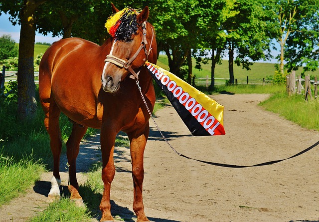 他多年穩定 他多年穩定