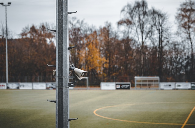 他们无疑是 他们无疑是