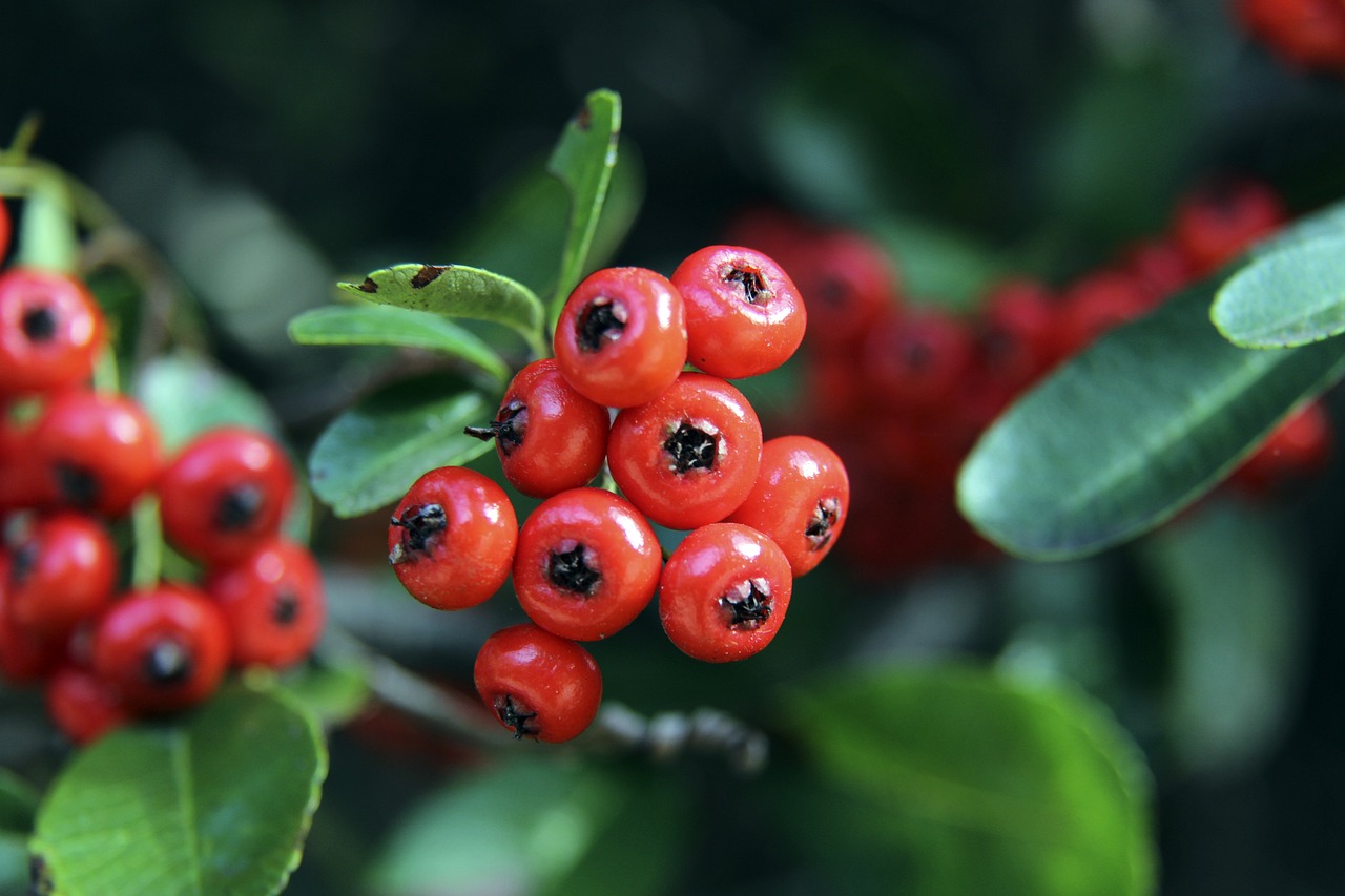 定基础的策 定基础的策