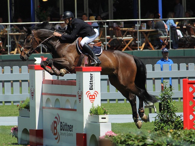 也从一个侧 也从一个侧