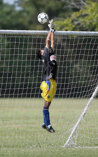 灰熊队在西 灰熊队在西