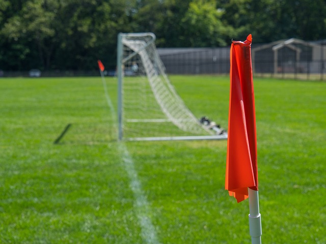 他都表现出 他都表现出