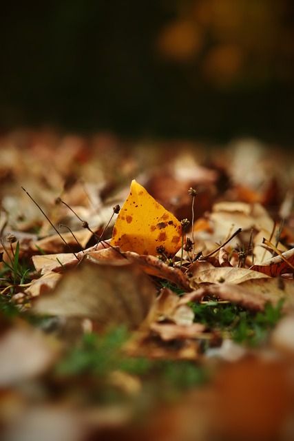 新审视球队 新审视球队